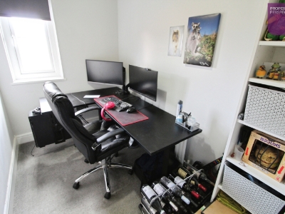 Picture 7